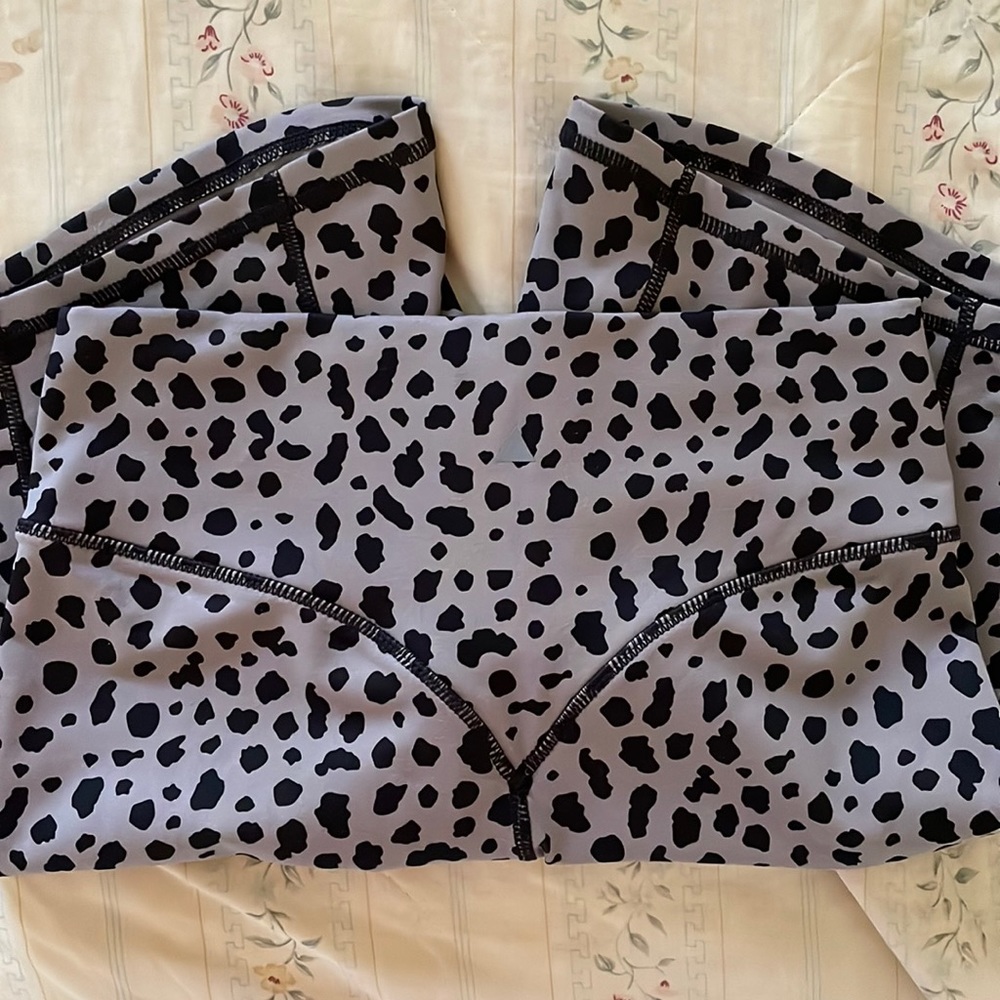 The Ascend Rider Short - Snow Leopard Midnight